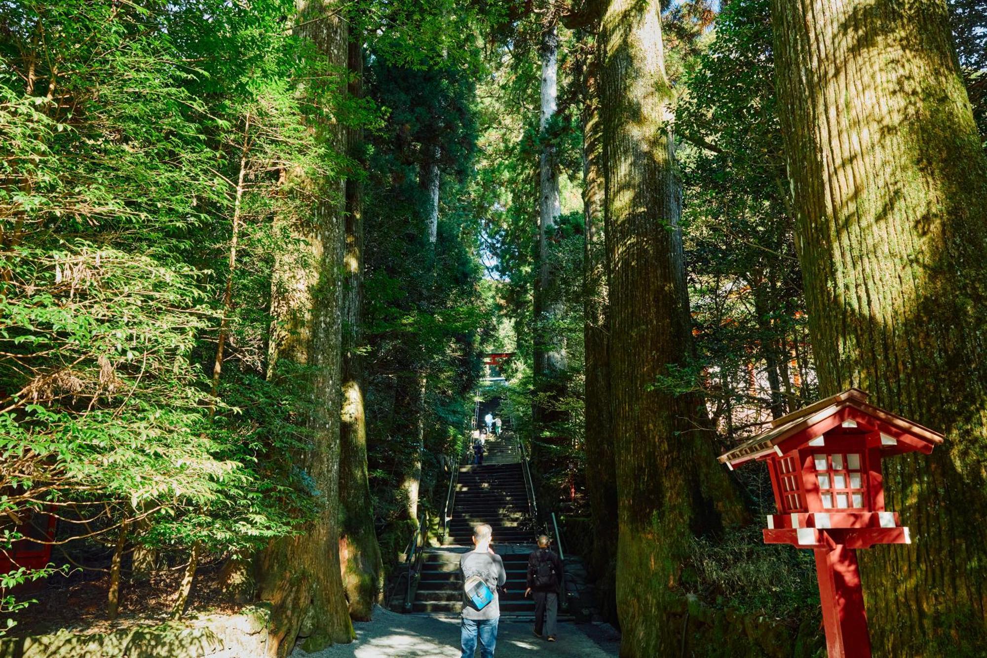 Villa Hakone Kabuto 古民家旅館 150平米 バス停迄一分 準天然温泉 最大12名 Экстерьер фото